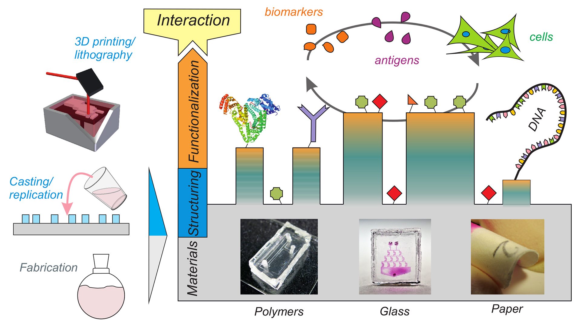 Fig. 1 NeptunLab's material platforms tools are divided into novel material fabrication, material structuring, and material functionalisation techniques