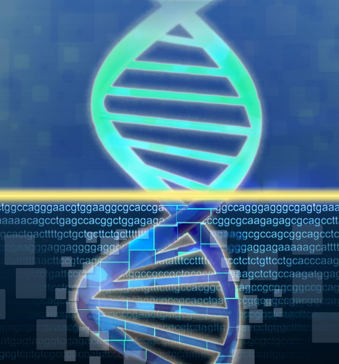 Finland launches global genome data research project