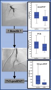 Fig. 2 Change of PVR, meanPAP and NT-proBNP before BPA and after 6 months follow-up.