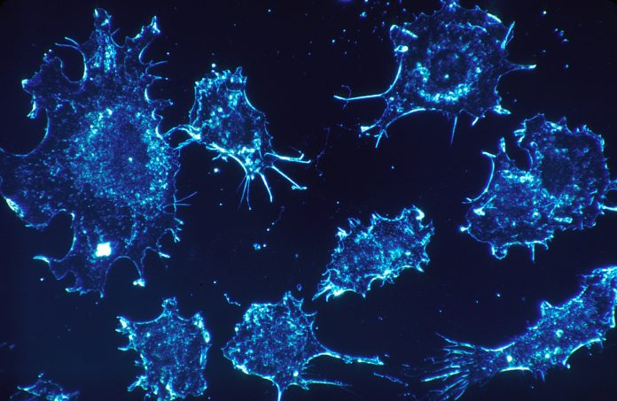 EORTC announces collaboration to advance precision medicine EORTC announces collaboration to advance precision medicine