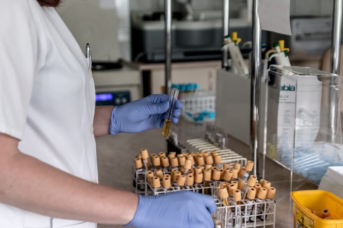Testing entire population for breast and ovarian cancer would be cost-effective Testing entire population for breast and ovarian cancer would be cost-effective