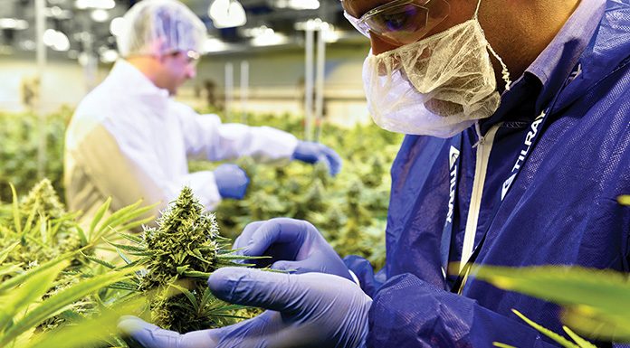 Tilray – Advancing Cannabinoid Science cannabinoid