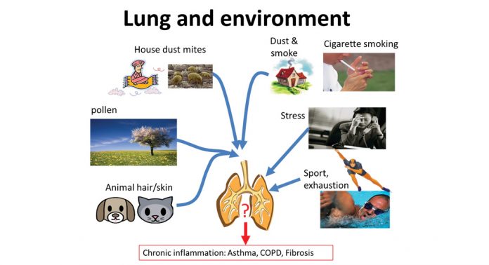 Fig. 1 Neither the mechanism by which this wide range of triggers can initiate asthma, nor how they provoke an asthma attack, is well understood