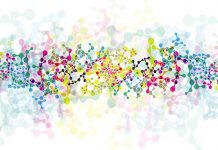 The April 2018 HSRAA annual conference The April 2018 HSRAA annual conference