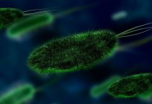 Imperial highlights four unheard of rare diseases for Rare Disease Day Imperial highlights four unheard of rare diseases for Rare Disease Day