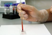 Nightingale to analyse 40,000 blood samples to enhance Finnish healthcare