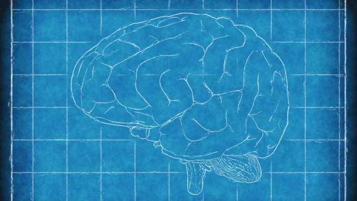 Detecting early stages of Alzheimer's disease with new blood test Detecting early stages of Alzheimer's disease with new blood test