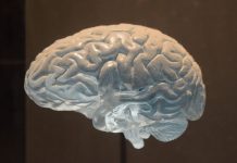 New drug helps reduce inflammation in patients in early stages of stroke New drug helps reduce inflammation in patients in early stages of stroke