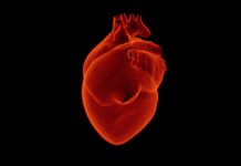 Gender-based treatment being explored for sudden cardiac arrest Gender-based treatment being explored for sudden cardiac arrest