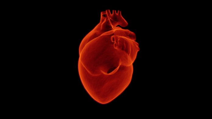 Gender-based treatment being explored for sudden cardiac arrest Gender-based treatment being explored for sudden cardiac arrest