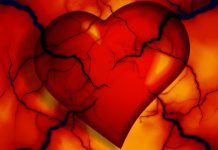 British, German researchers unite against cardiovascular disease British, German researchers unite against cardiovascular disease