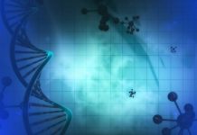 Two genes that trigger leukaemia development discovered