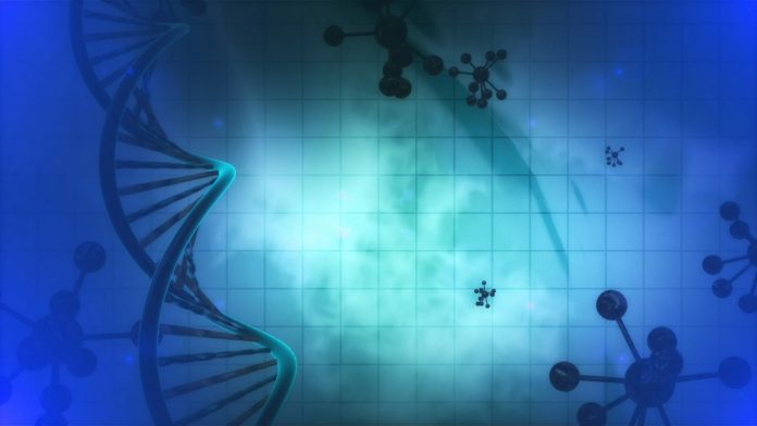 Two genes that trigger leukaemia development discovered