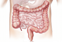 Colorectal cancer death rates continue to fall Colorectal cancer death rates continue to fall
