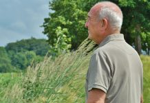 One-off prostate cancer PSA test does not save lives One-off prostate cancer PSA test does not save lives