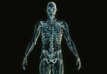 A promising new therapeutic approach to spinal cord injuries A promising new therapeutic approach to spinal cord injuries