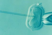 Breaking down barriers in access to fertility treatment Breaking down barriers in access to fertility treatment