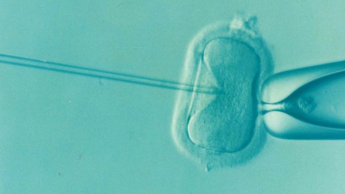 Breaking down barriers in access to fertility treatment