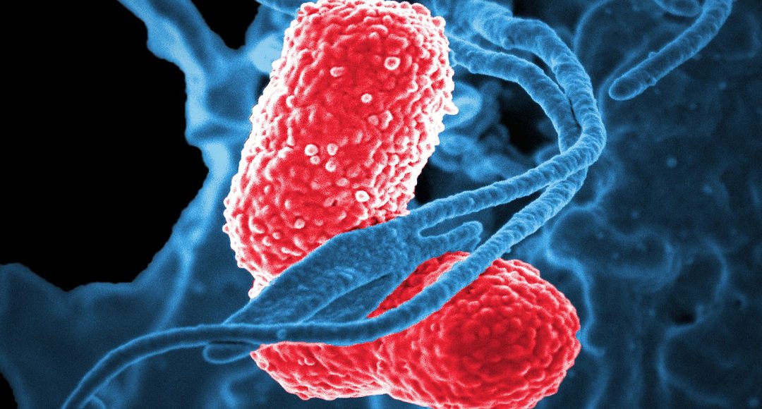 Common heartburn drug linked to pneumonia in older adults