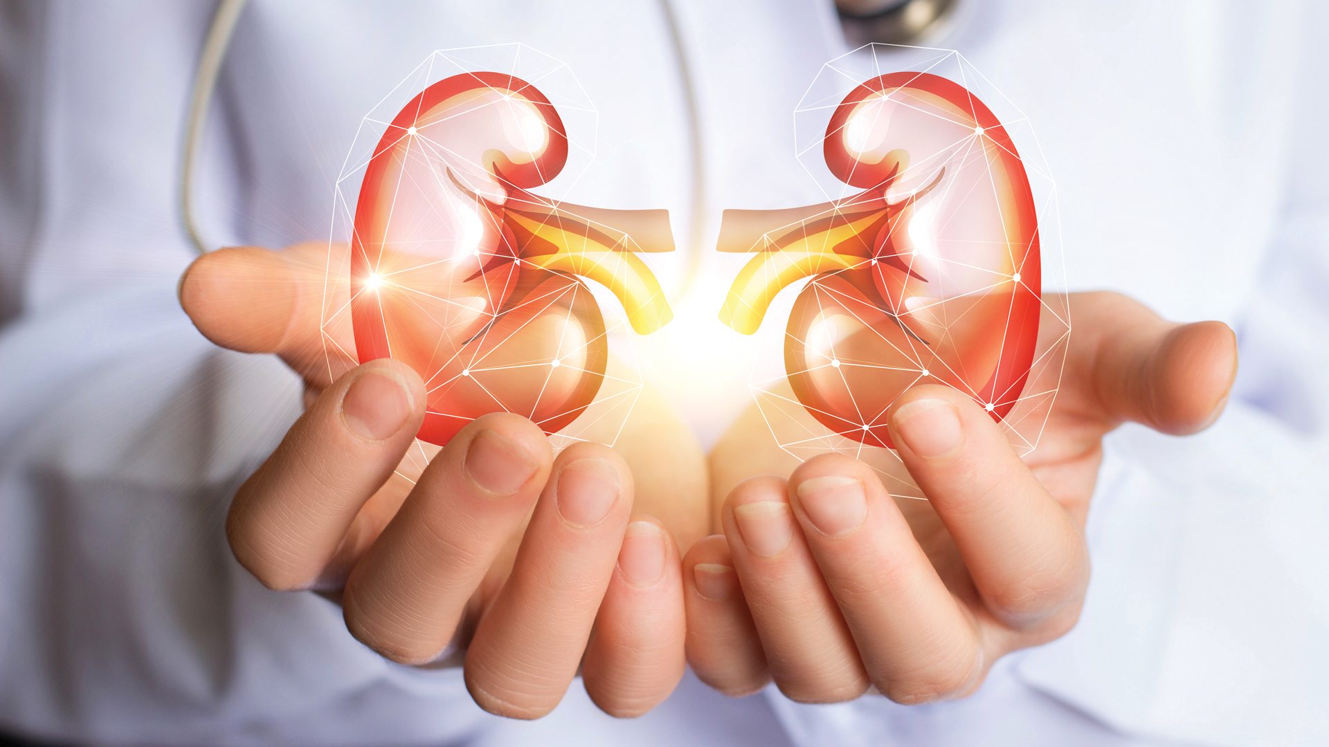 Raising the standards for chronic kidney disease treatment