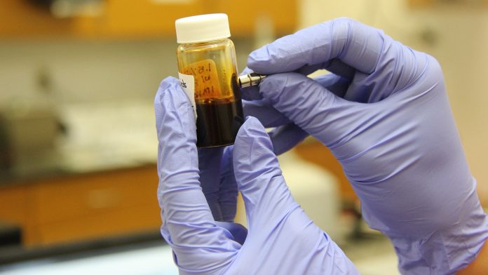 New pioneering cancer research projects attract global health professionals New pioneering cancer research projects attract global health professionals