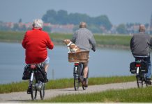 High intensity exercise found to not benefit those with dementia High intensity exercise found to not benefit those with dementia