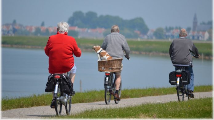 High intensity exercise found to not benefit those with dementia High intensity exercise found to not benefit those with dementia