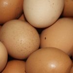 An egg a day could reduce risk of cardiovascular disease