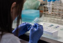 A new approach to the treatment of prostate cancer A new approach to the treatment of prostate cancer