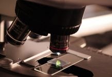 A new type of small-cell lung cancer has been discovered A new type of small-cell lung cancer has been discovered