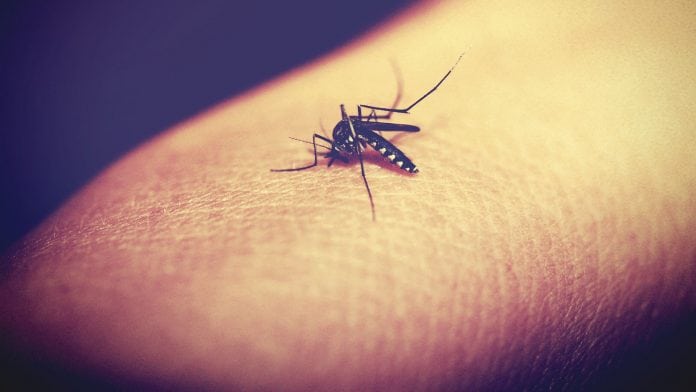 Antibodies work together to enhance immune system against malaria