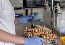 Further targeted use of immunotherapy has been discovered Further targeted use of immunotherapy has been discovered