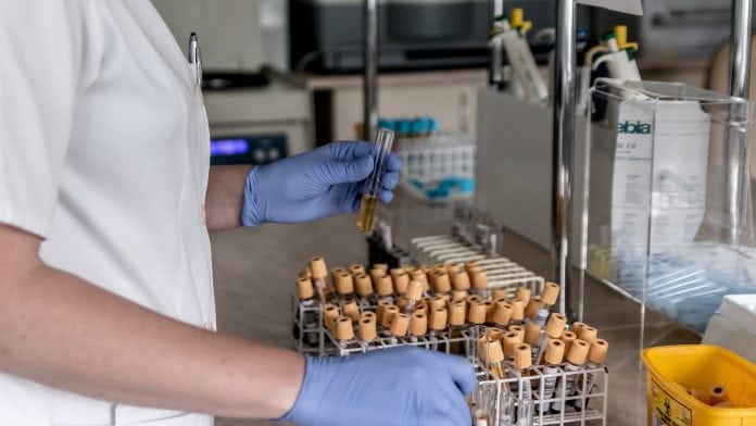Further targeted use of immunotherapy has been discovered Further targeted use of immunotherapy has been discovered