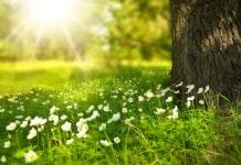 Heat stress deaths avoidable by adhering to Paris Agreement climate goal Heat stress deaths avoidable by adhering to Paris Agreement climate goal