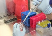 New drug halves hearing loss in children after cancer treatment New drug halves hearing loss in children after cancer treatment