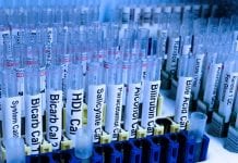 New therapy developed to treat lysosomal storage disease New therapy developed to treat lysosomal storage disease