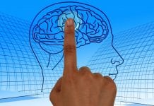 Protein ‘off-switch’ in the brain could help find new Alzheimer’s treatments Protein ‘off-switch’ in the brain could help find new Alzheimer's treatments