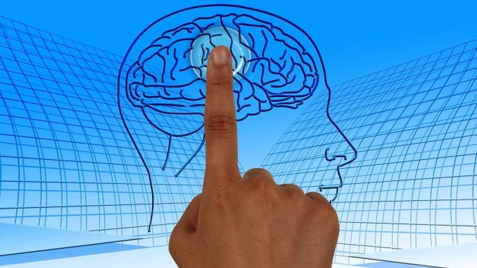 Protein ‘off-switch’ in the brain could help find new Alzheimer's treatments Protein ‘off-switch’ in the brain could help find new Alzheimer's treatments