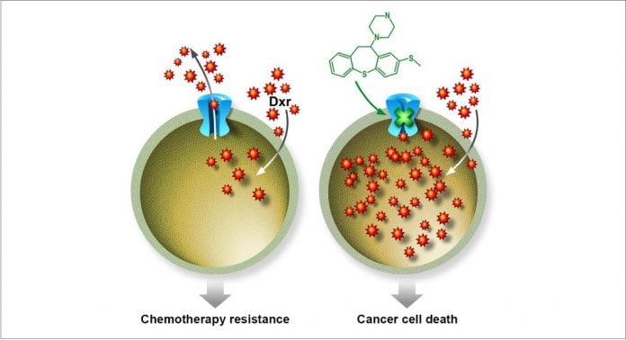Improving the efficiency of chemotherapy with a new molecule