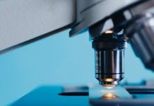 Alzheimer’s and herpes virus link has been highlighted in new study Alzheimer’s and herpes virus link has been highlighted in new study