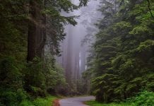 Living nearer Nature reduces risk of premature death Living nearer nature reduces risk of premature death