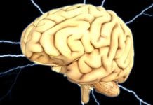 Neurodegenerative disease research funding up by a third since 2011 Neurodegenerative disease research funding up by a third since 2011