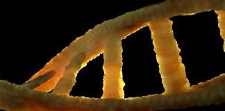 Council of Europe protocol on genetic testing enters into force