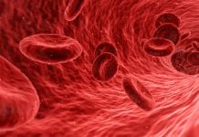 Could the puzzle around fatal blood diseases be uncovered