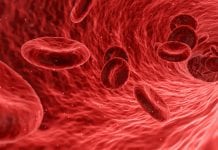 Could the puzzle around fatal blood diseases be uncovered? Could the puzzle around fatal blood diseases be uncovered