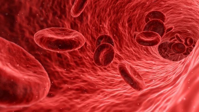 Could the puzzle around fatal blood diseases be uncovered
