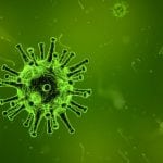 Can viral infections be prevented