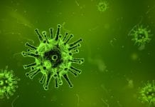 Can viral infections be prevented
