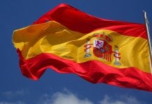 What are the five leading causes of death in Spain?