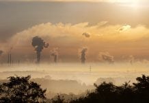 Long-term exposure to air pollution can impair cognitive function